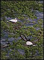 _MG_5865-01.jpg