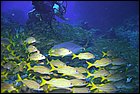 _MG_6006-01.jpg