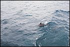 _MG_6206-01.jpg