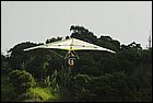 _MG_6866-01.jpg