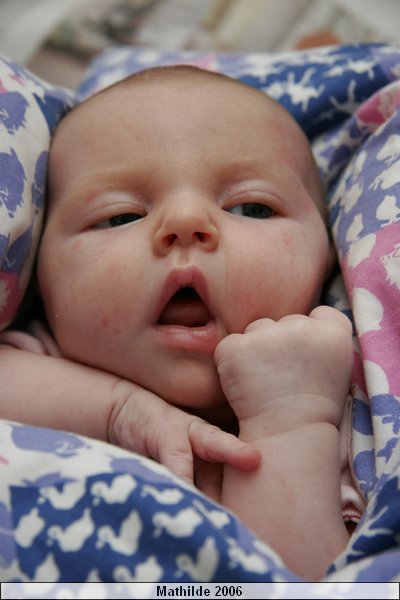 Mathilde 016.jpg