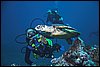 IMG_3543-1.jpg