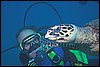 IMG_3544-1.jpg