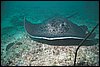 IMG_3590-1.jpg