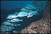 IMG_3632-1.jpg