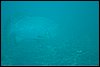 IMG_3698-1.jpg