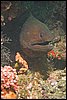 IMG_3713-1.jpg