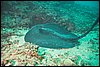IMG_3724-1.jpg