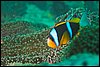 IMG_3747-1.jpg