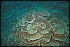 IMG_4390-1.jpg