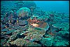 IMG_4392-1.jpg
