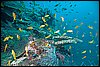 IMG_4401-1.jpg