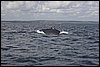 IMG_4450-1.jpg