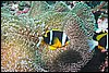 IMG_4460-1.jpg
