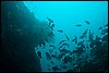 IMG_4473-1.jpg