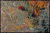 IMG_4497-1.jpg