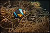 IMG_4746-1.jpg