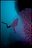 IMG_4753-1.jpg