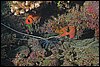 IMG_4768-1.jpg