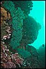 IMG_4774-1.jpg