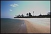 IMG_4784-1.jpg