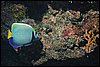 IMG_4796-1.jpg