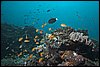 IMG_4799-1.jpg