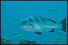 IMG_4841-1.jpg