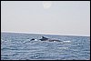 IMG_4873-1.jpg