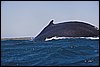 IMG_4883-1.jpg